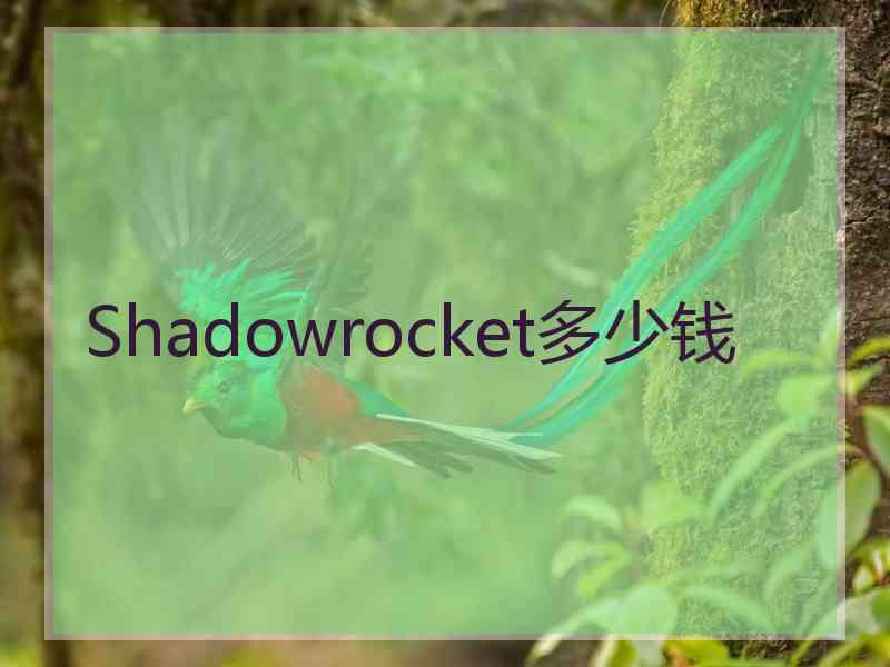 Shadowrocket多少钱